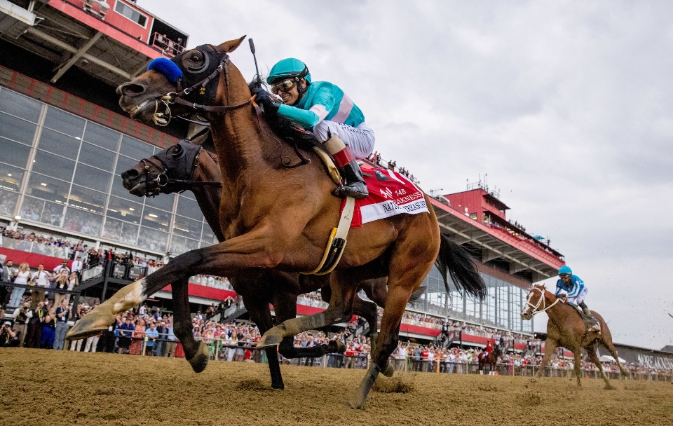 National Treasure wins Preakness Stakes 2023 at Pimlico Race Course under jockey John Velazquez for trainer Bob Baffert in a front-running performance.