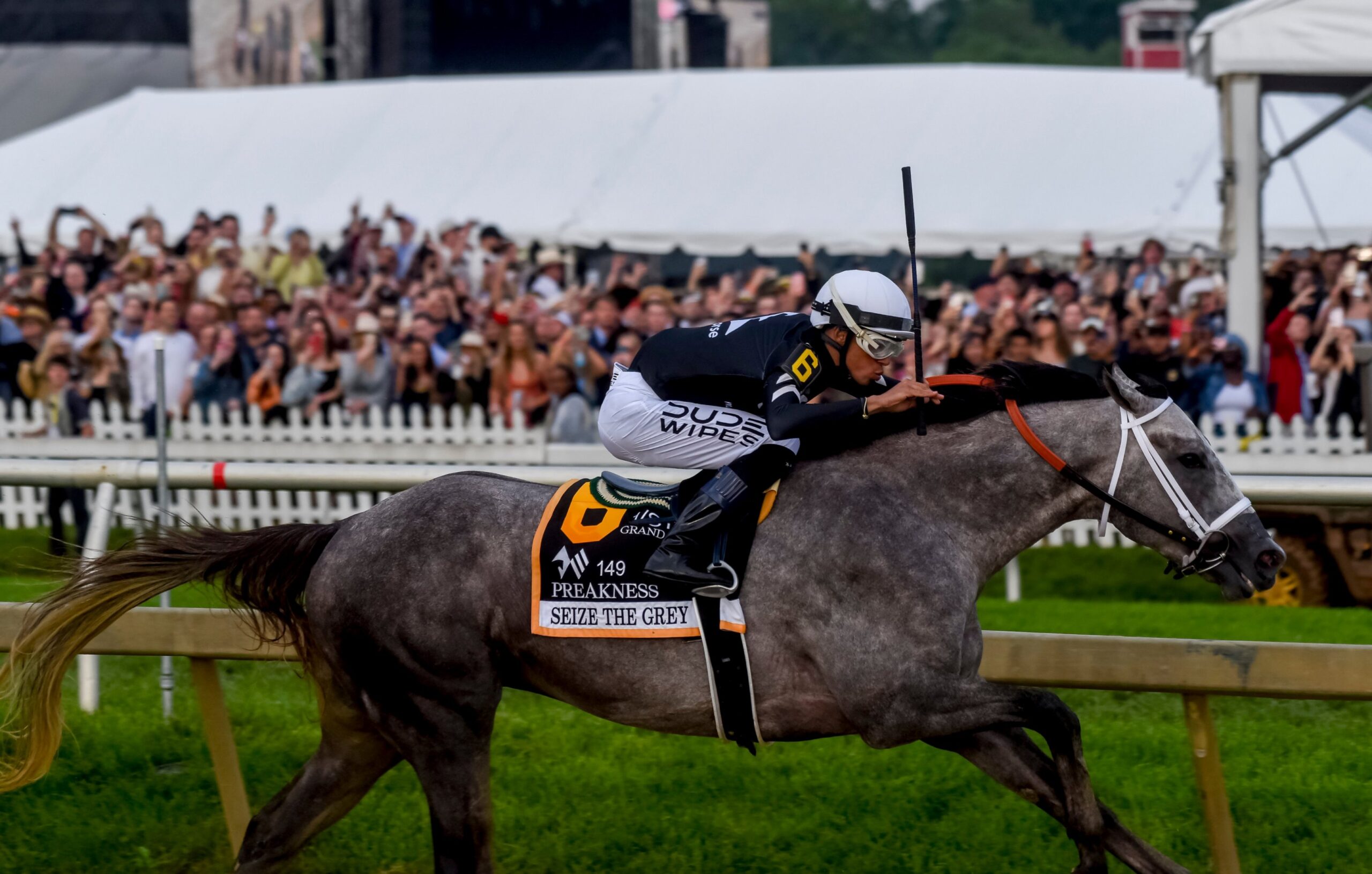Jockey Jaime Torres aboard SEIZE THE GRAY crossing the finish line to win the 149th Preakness Stakes at Pimlico Race Course in 2024, capturing a defining moment in American Thoroughbred racing
