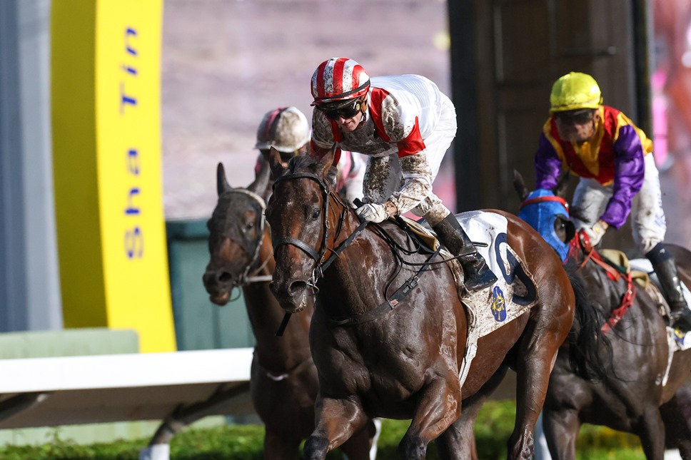 Zac Purton celebrates after securing a treble at Sha Tin Racecourse, raising his arm in triumph following a dominant performance that sealed his eighth Hong Kong jockeys’ championship.