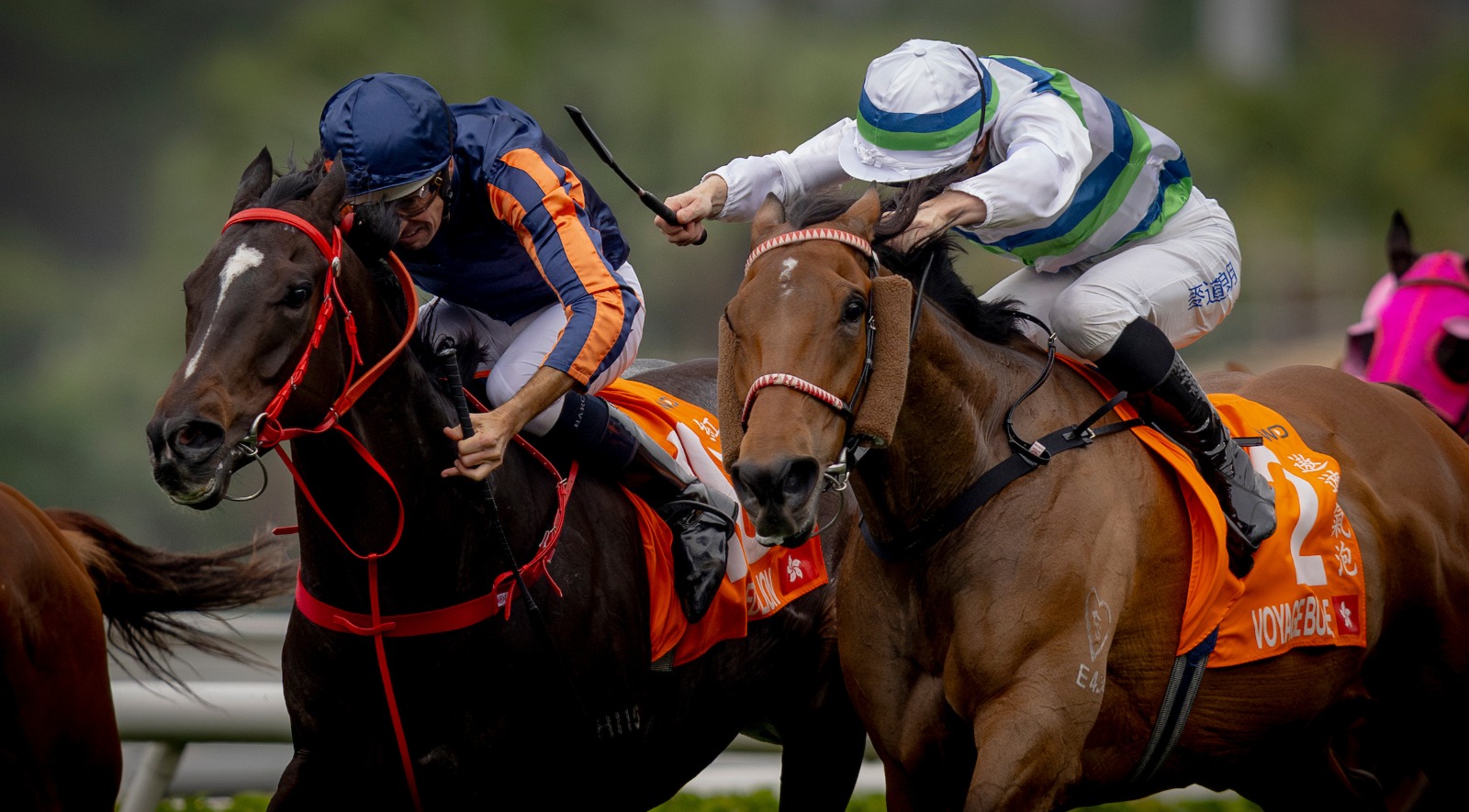 Hugh Bowman riding Red Lion in full flight at Sha Tin Racecourse, aiming for Group 3 success.