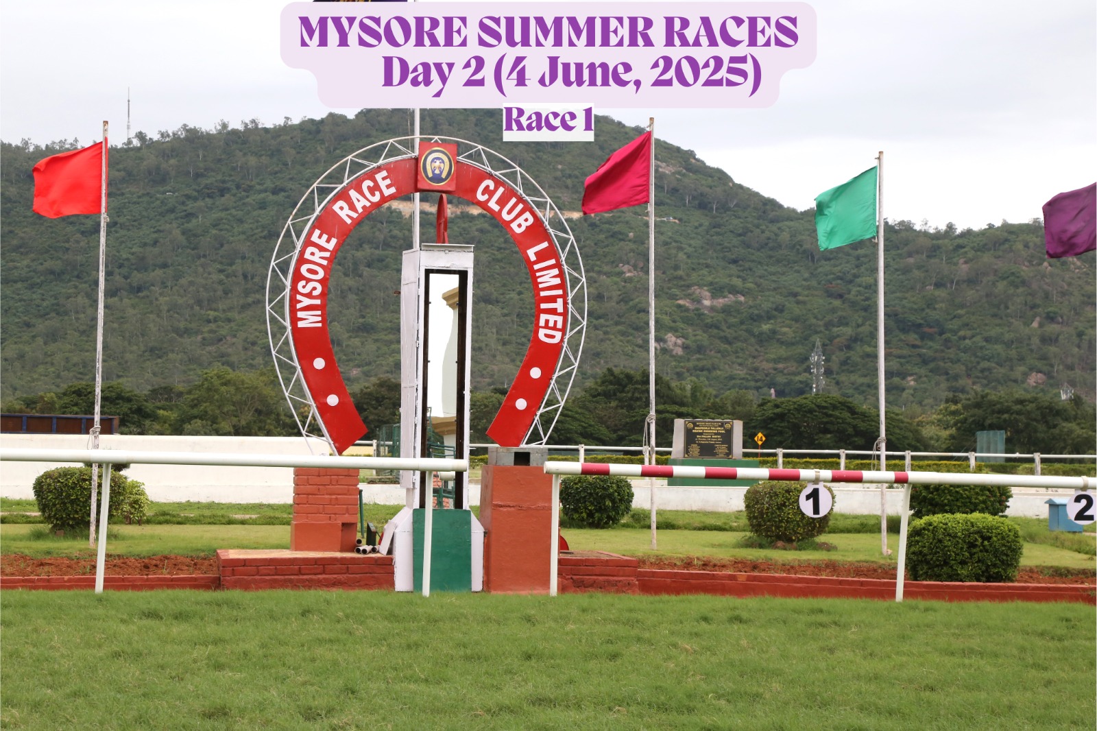 Star Is Back winning The Kolar Plate at Mysore Race Club on June 4th, 2025, ridden by jockey H.M. Akshay and trained by Mansoor Khan during the Mysore Summer Meeting season opener.