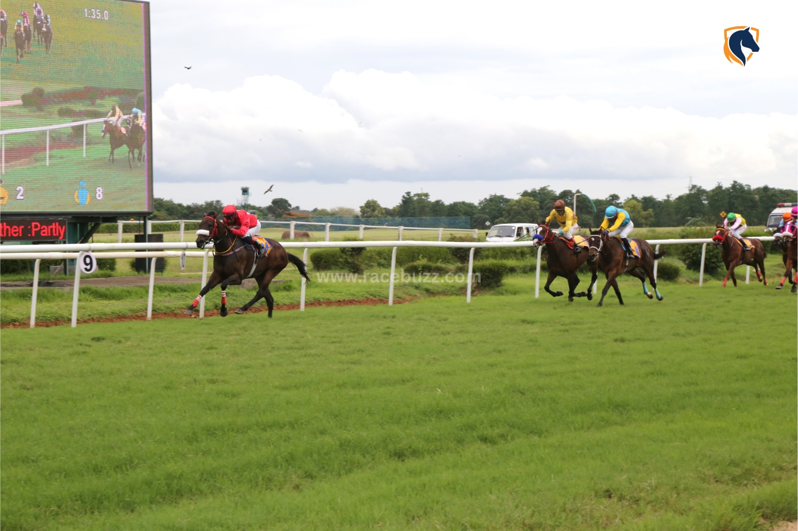 Racehorses in full gallop at Mysore Race Club on a summer race day under clear skies