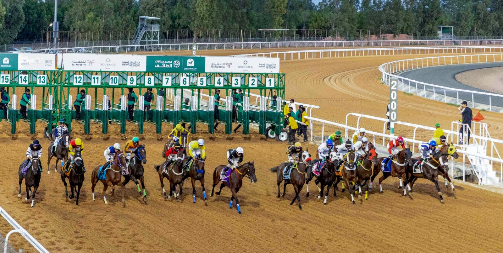 Horses racing under the summer sun at King Khalid Racecourse during the Taif Racing Season 2025.