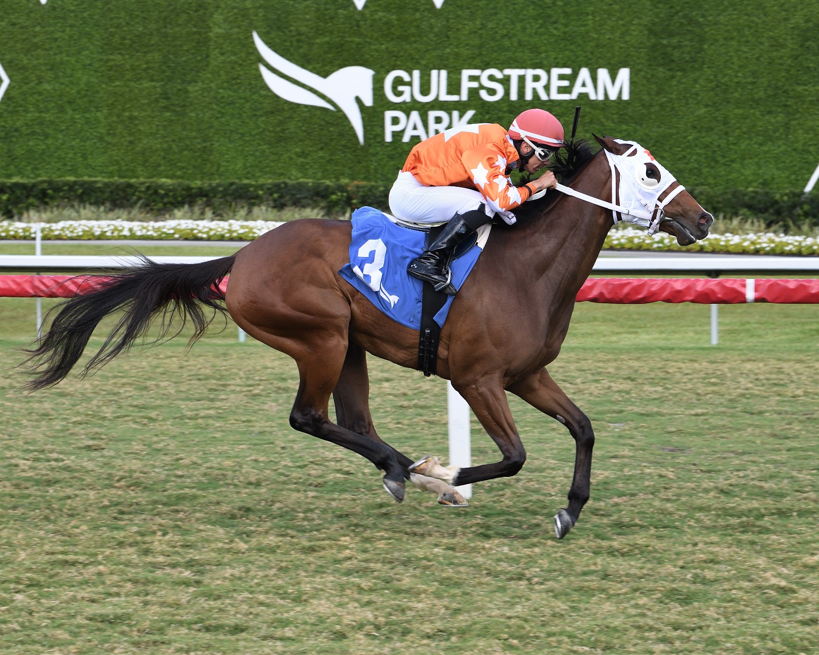 Starship Impulsive gallops at Gulfstream Park ahead of the 2025 Martha Washington Stakes.