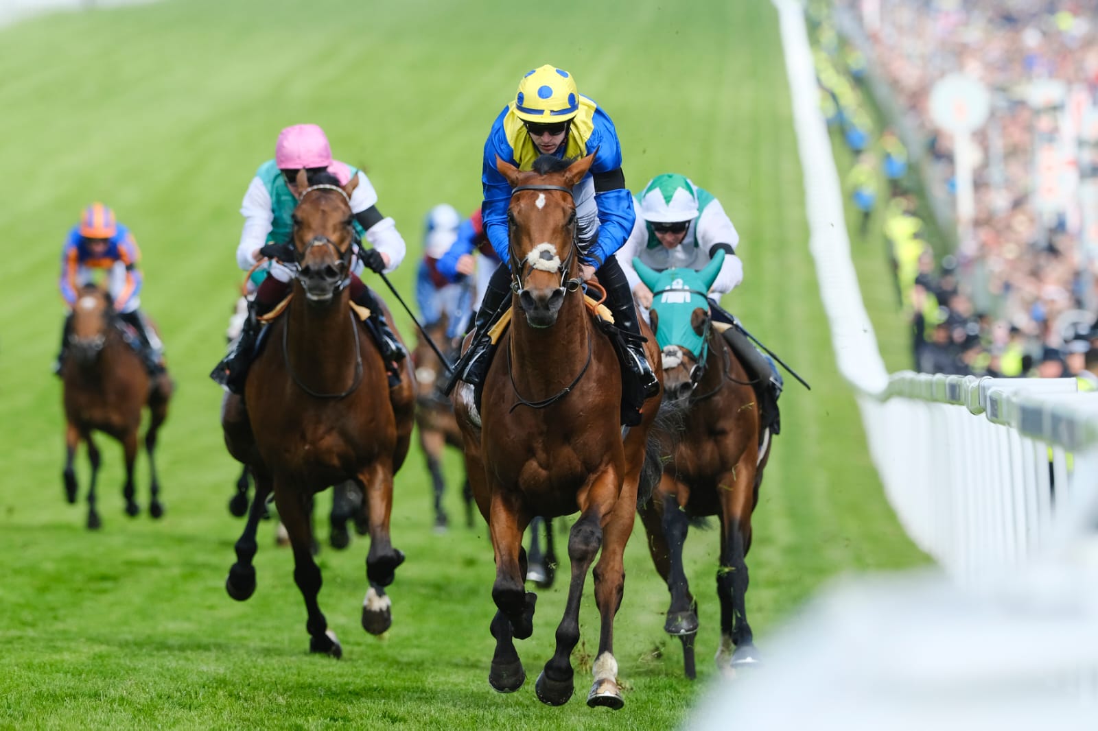 Racegoers enjoying Epsom Downs Ladies Day 2025 with horses galloping past in the background.