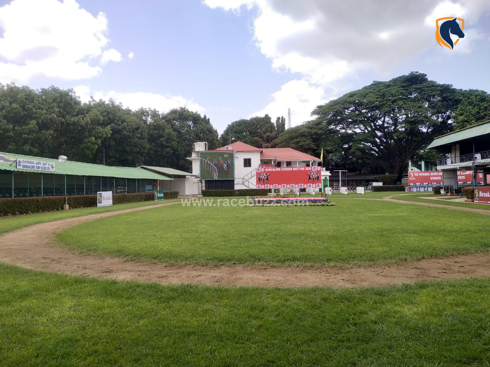 Jockeys and thoroughbreds in action at the Bangalore Turf Club during the 2025 Summer Meeting race day.