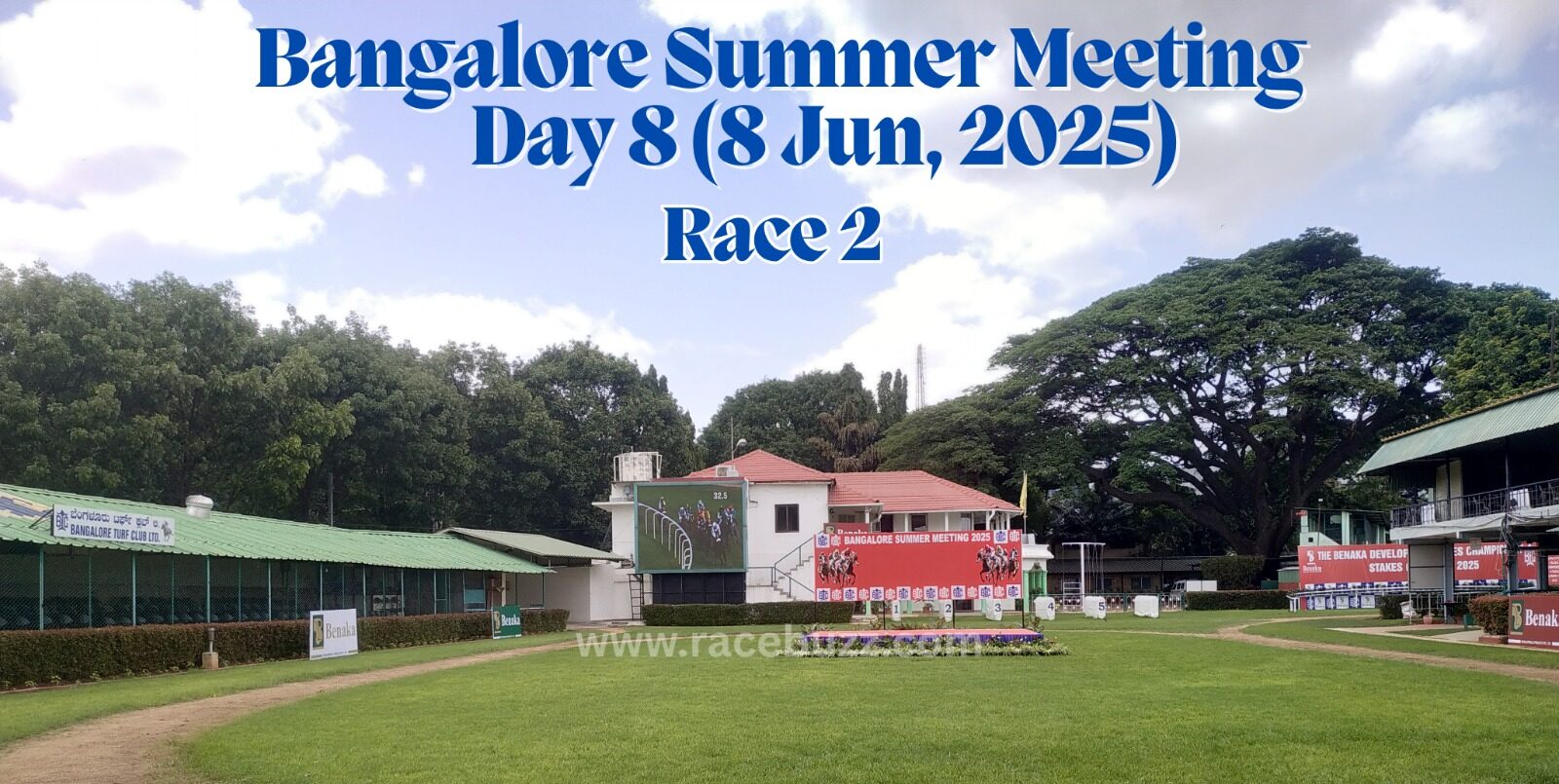 Scenic view of the paddock area at Bangalore Turf Club during Race 2 on Day 8 of the Bangalore Summer Meeting 2025, held on June 8. The digital screen shows a live race feed, with sponsor boards and well-manicured greenery surrounding the enclosure.