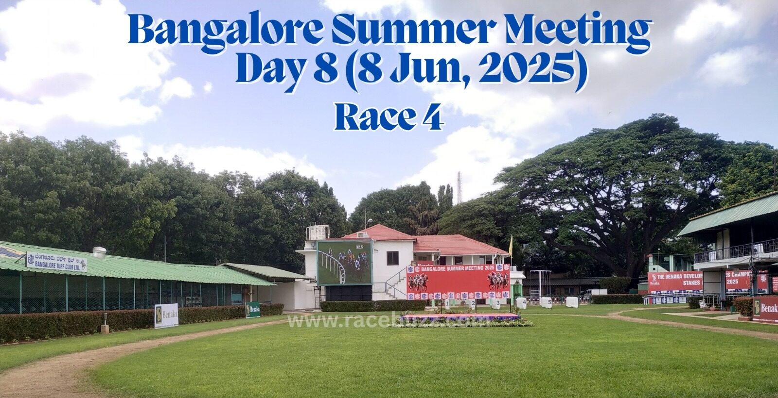 Scenic view of the paddock area at Bangalore Turf Club during Race 4 on Day 8 of the Bangalore Summer Meeting 2025, held on June 8. The digital screen shows a live race feed, with sponsor boards and well-manicured greenery surrounding the enclosure.