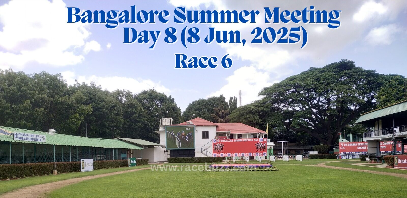 Scenic view of the paddock area at Bangalore Turf Club during Race 6 on Day 8 of the Bangalore Summer Meeting 2025, held on June 8. The digital screen shows a live race feed, with sponsor boards and well-manicured greenery surrounding the enclosure.