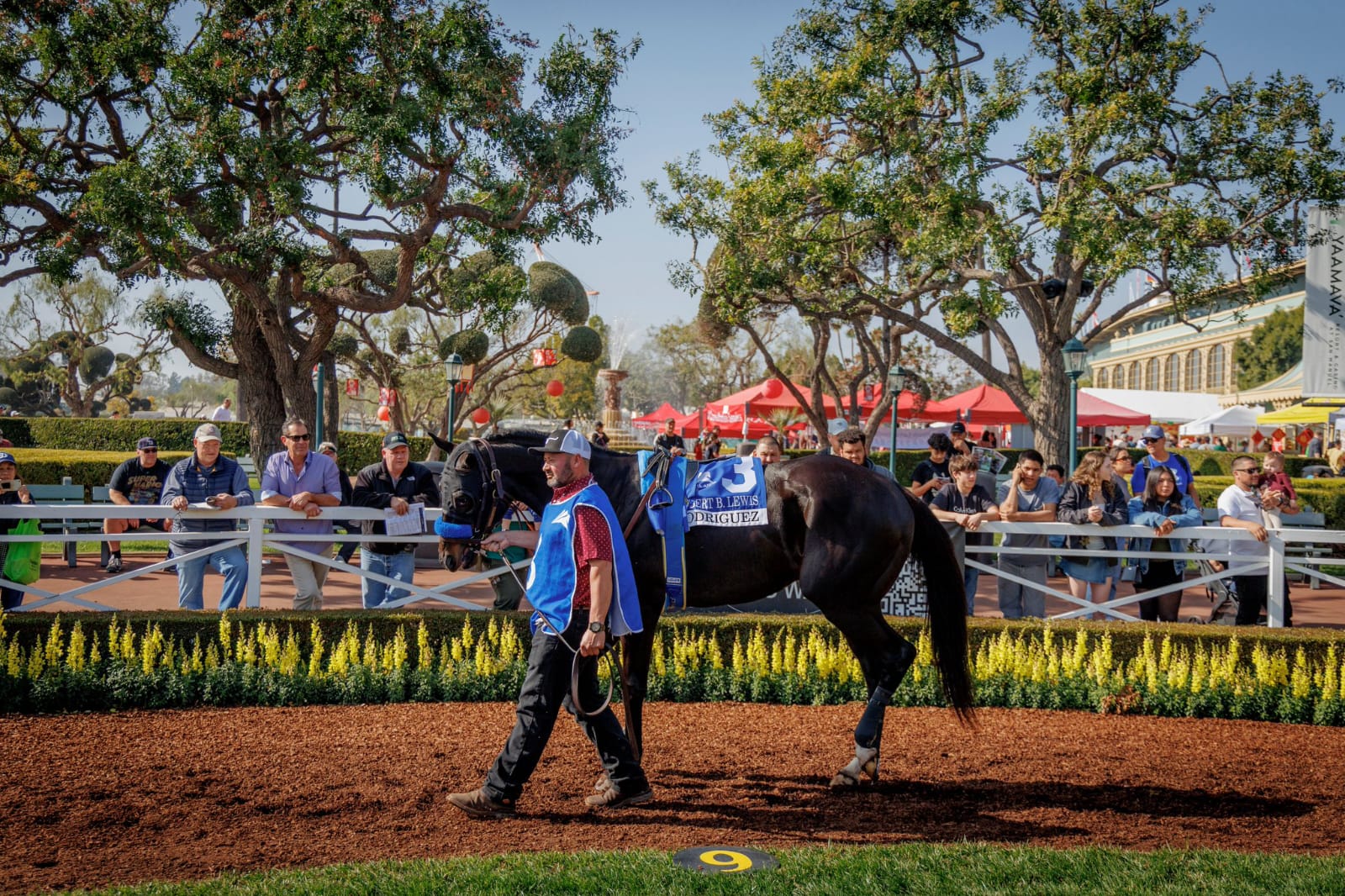 View of Santa Anita Park grandstand with horses breaking from the gate during a thrilling race on a sunny afternoon