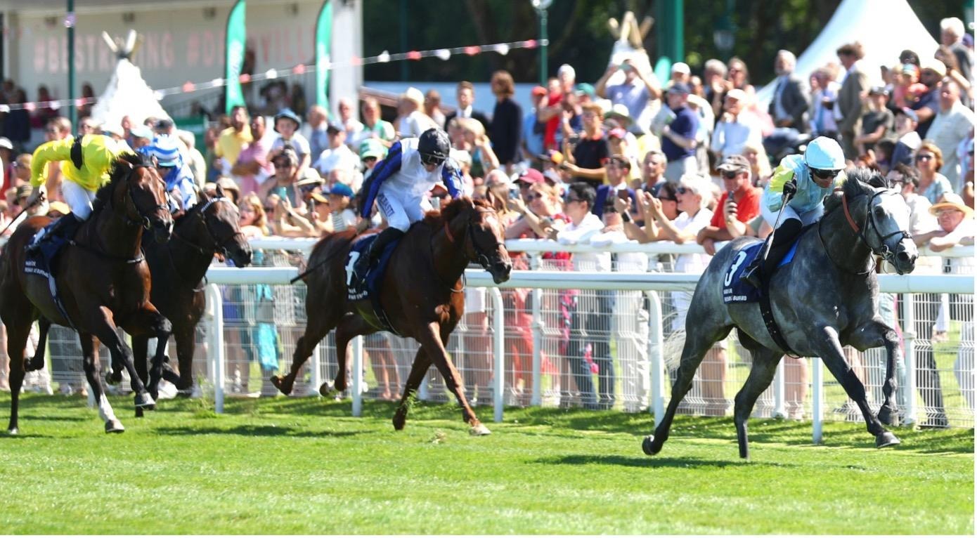 Japanese racehorse Jantar Mantar galloping on turf during a morning workout at Deauville Racecourse