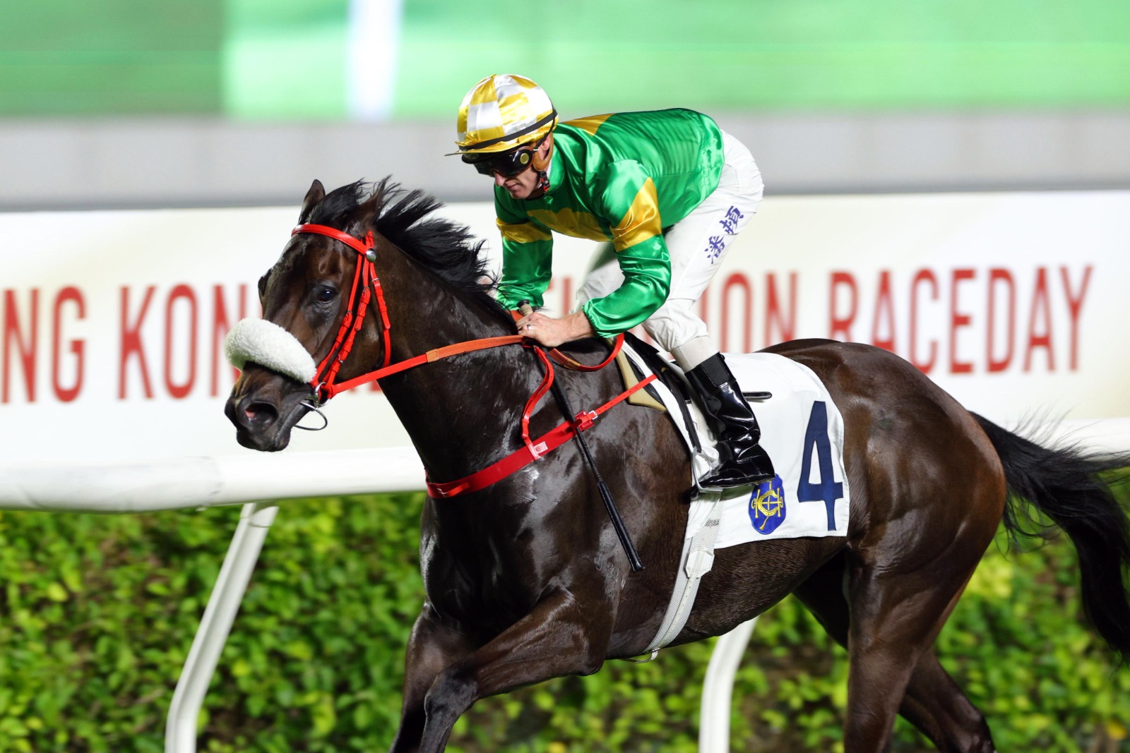 Zac Purton aboard Bottomuptogether during trackwork at Sha Tin Racecourse ahead of the HKU Handicap