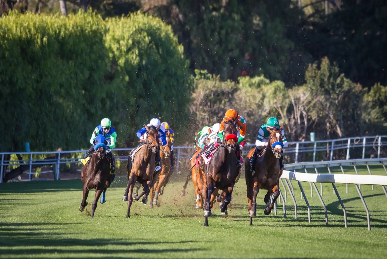 Racehorses in action at Santa Anita Park during the June 13, 2025 meet featuring nine competitive races