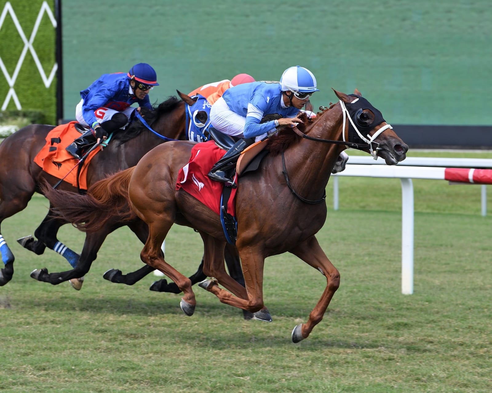 Jockeys guiding thoroughbreds across the turf during a summer race at Gulfstream Park under clear skies