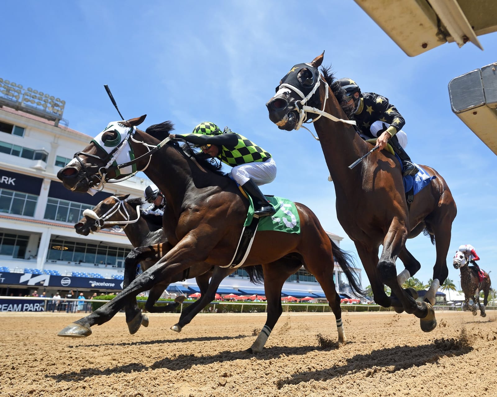 Thoroughbred horses breaking from the starting gate during a turf race at Gulfstream Park under sunny skies.