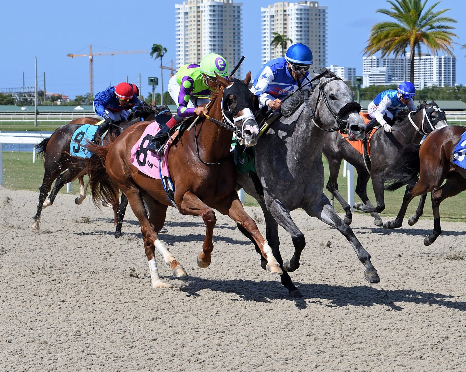 Horses break from the gate on the turf track at Gulfstream Park during a sunny summer race day on June 13, 2025.