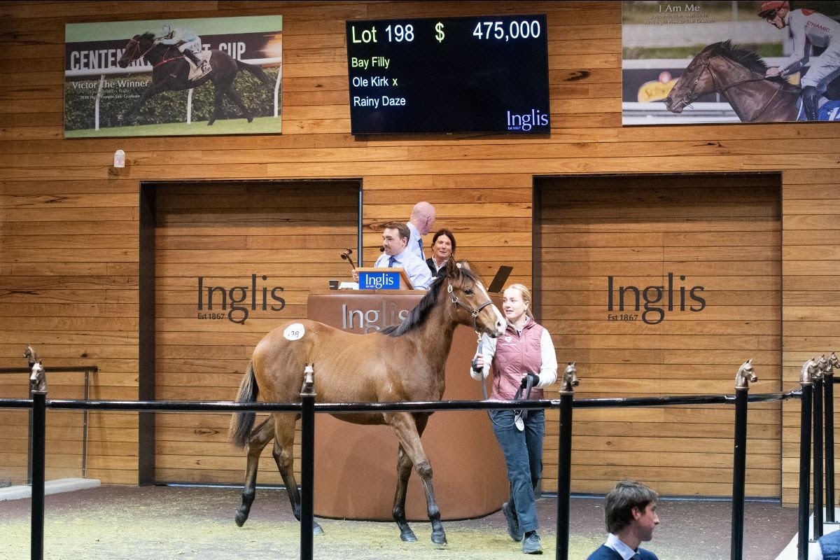Ole Kirk x Rainy Daze filly sold for $475,000 at the 2025 Great Southern Weanling Sale, presented by Lemrac Lodge.