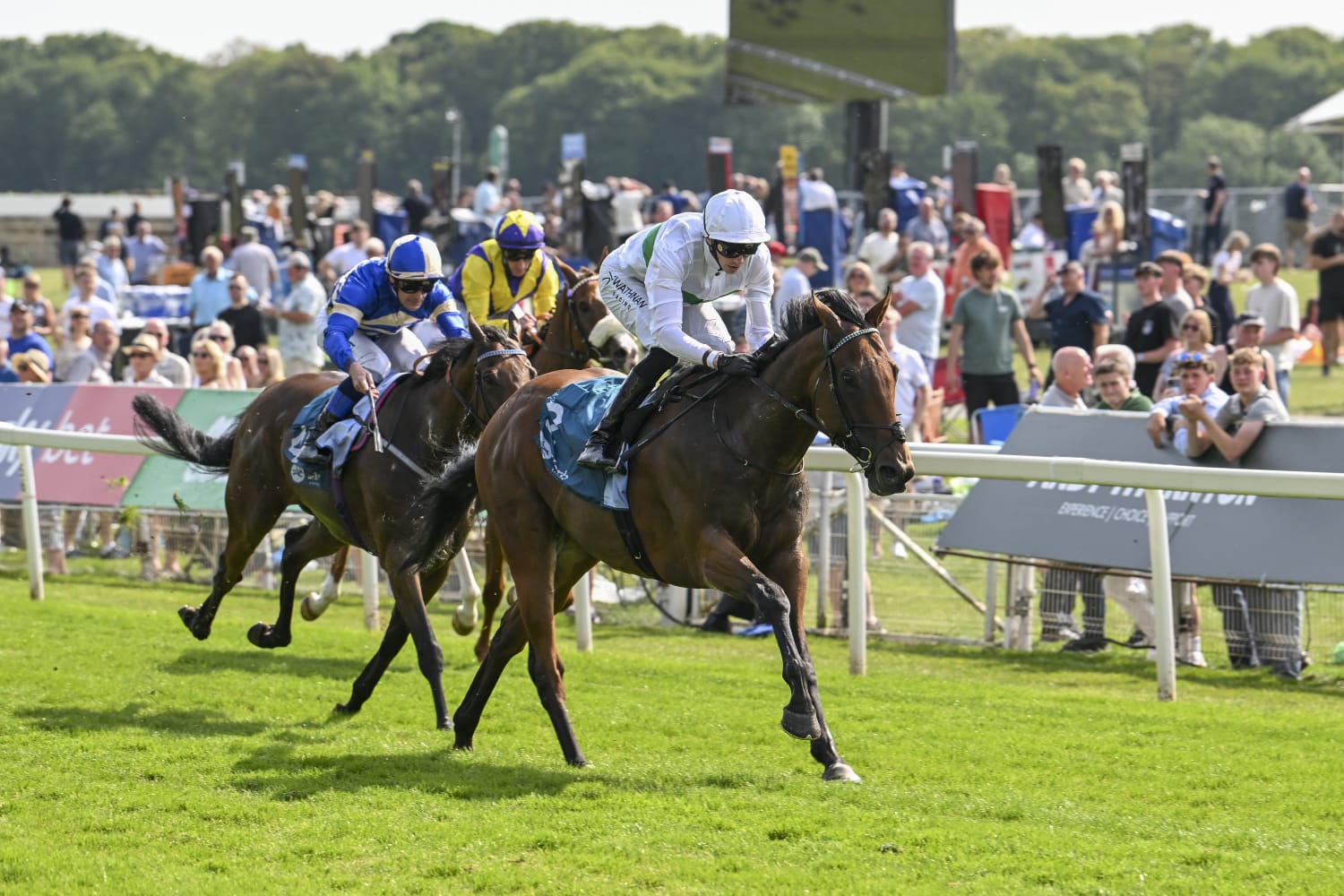 Crowds enjoying the 54th Macmillan Charity Raceday at York Racecourse during Day Two of June Meeting 2025.