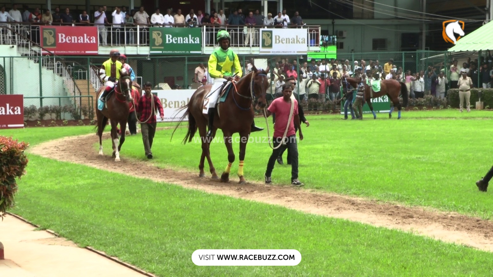 Racehorses galloping at Bangalore Turf Club during the Summer Meeting 2025