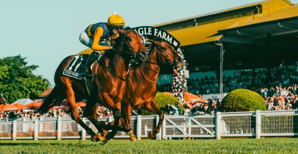 Racegoers watching live midweek racing action at Doomben Racecourse on June 18, 2025