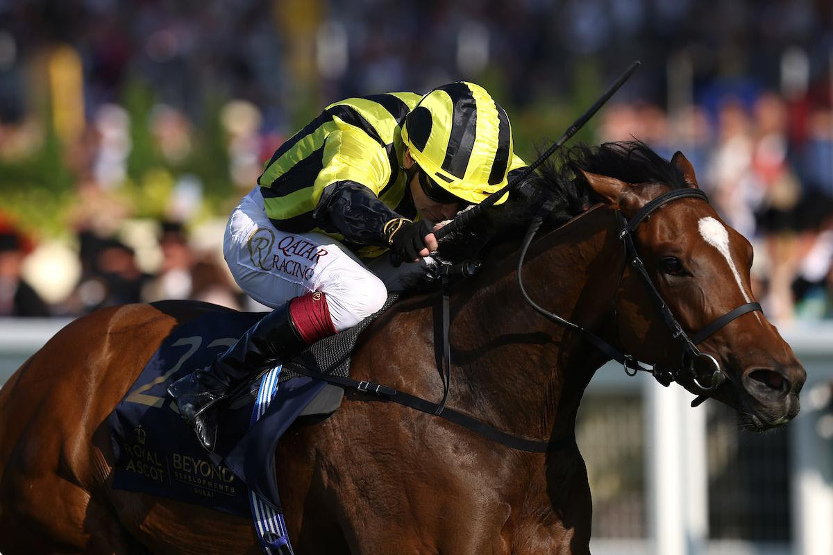 Adrestia surges to victory in the Palace Of Holyroodhouse Stakes at Royal Ascot under Oisin Murphy.