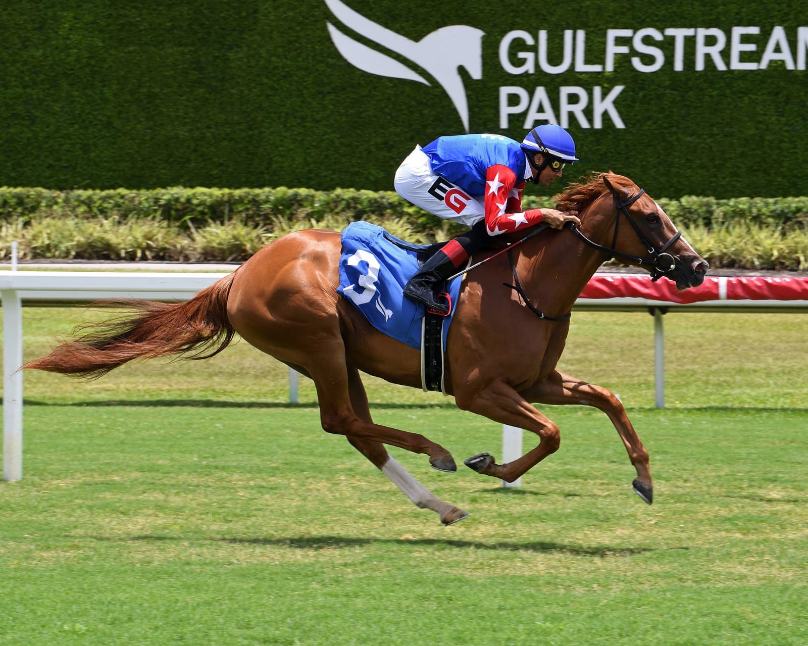 Trainer Patrick Biancone celebrates with Layabout after winning the featured turf race at Gulfstream Park on June 20, 2025.