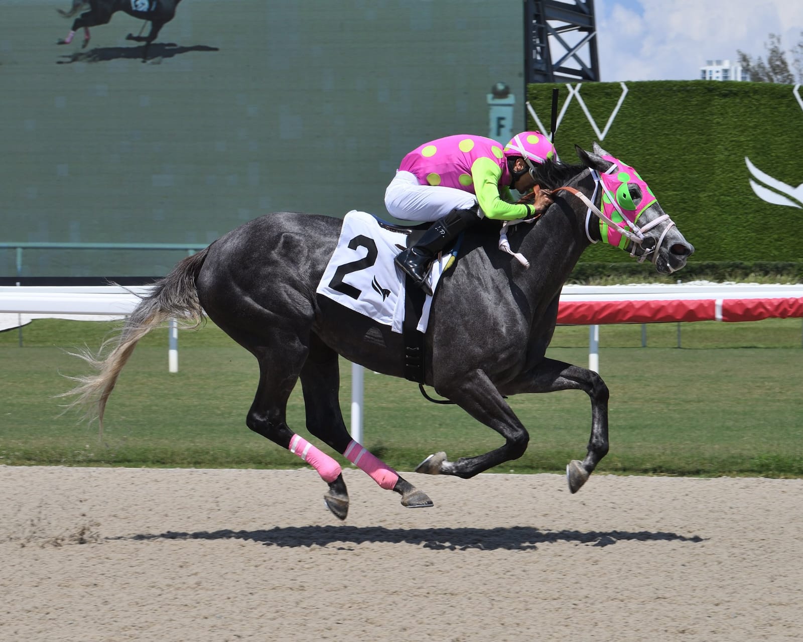 Horses racing at Gulfstream Park during the Royal Palm Meet 2025 with spectators in the background