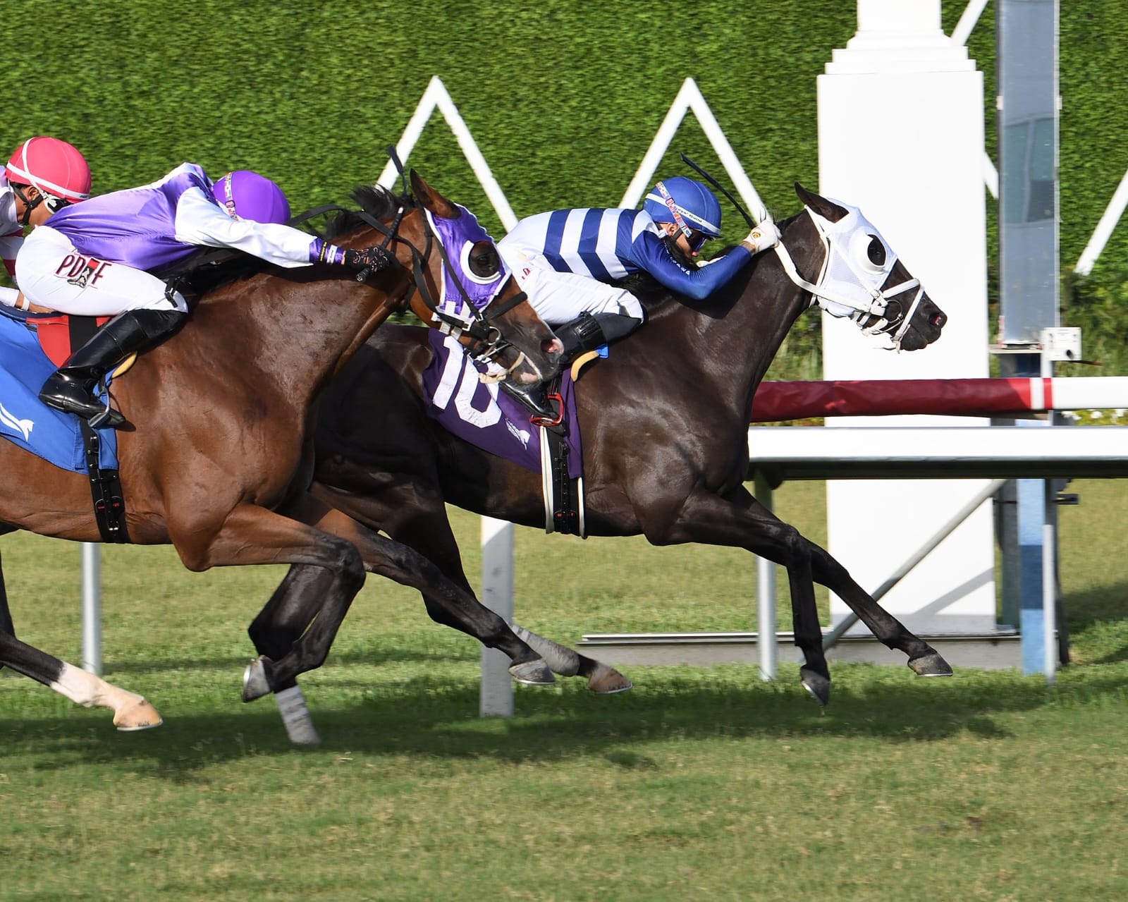 Horses racing at Gulfstream Park during the June 28, 2025, race day