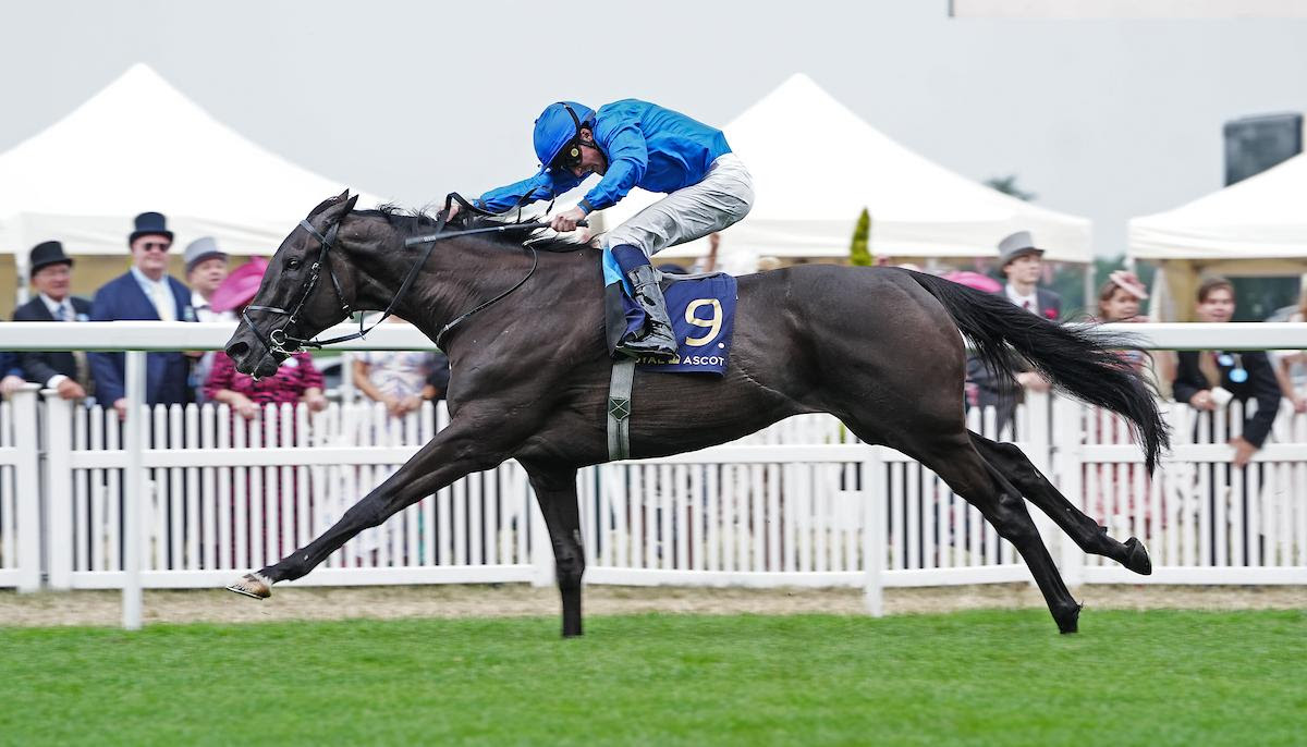 Rebel’s Romance charges to victory in the 2025 Hardwicke Stakes at Royal Ascot under jockey William Buick.