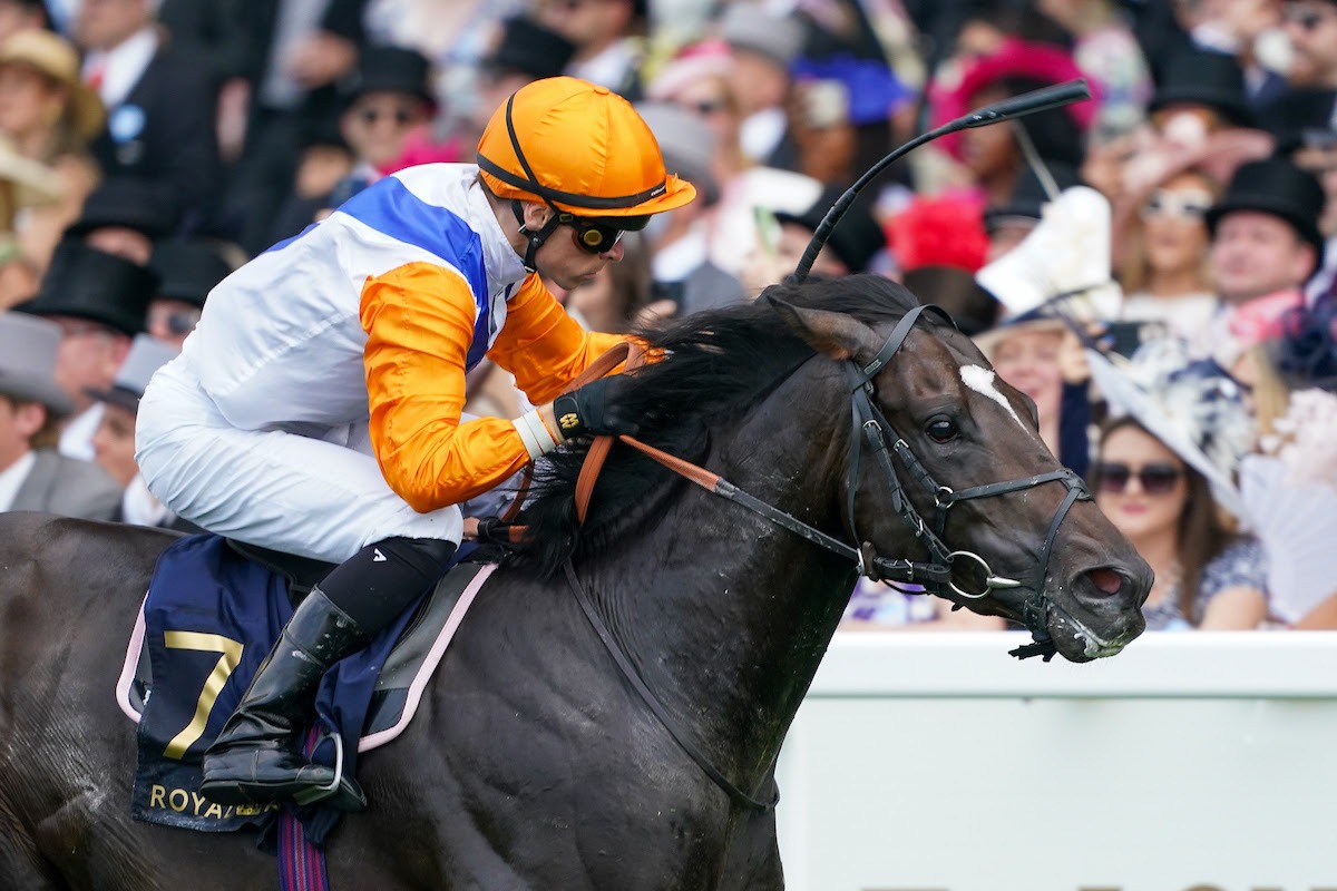 Noble Champion races to victory in the Group 3 Jersey Stakes at Royal Ascot 2025 under jockey Kieran Shoemark