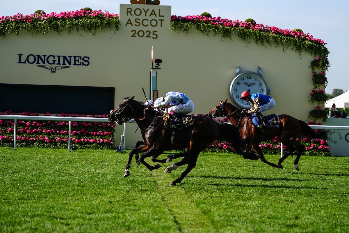 Quai De Bethune storms home to win the Golden Gates Stakes at Royal Ascot 2025 under jockey Oisin Murphy.