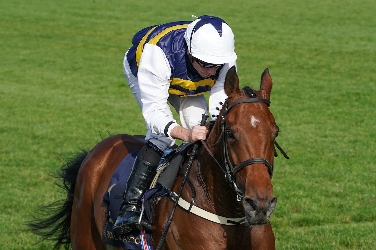 Sober charges to victory in the Queen Alexandra Stakes at Royal Ascot 2025, ridden by Ryan Moore for trainer Willie Mullins