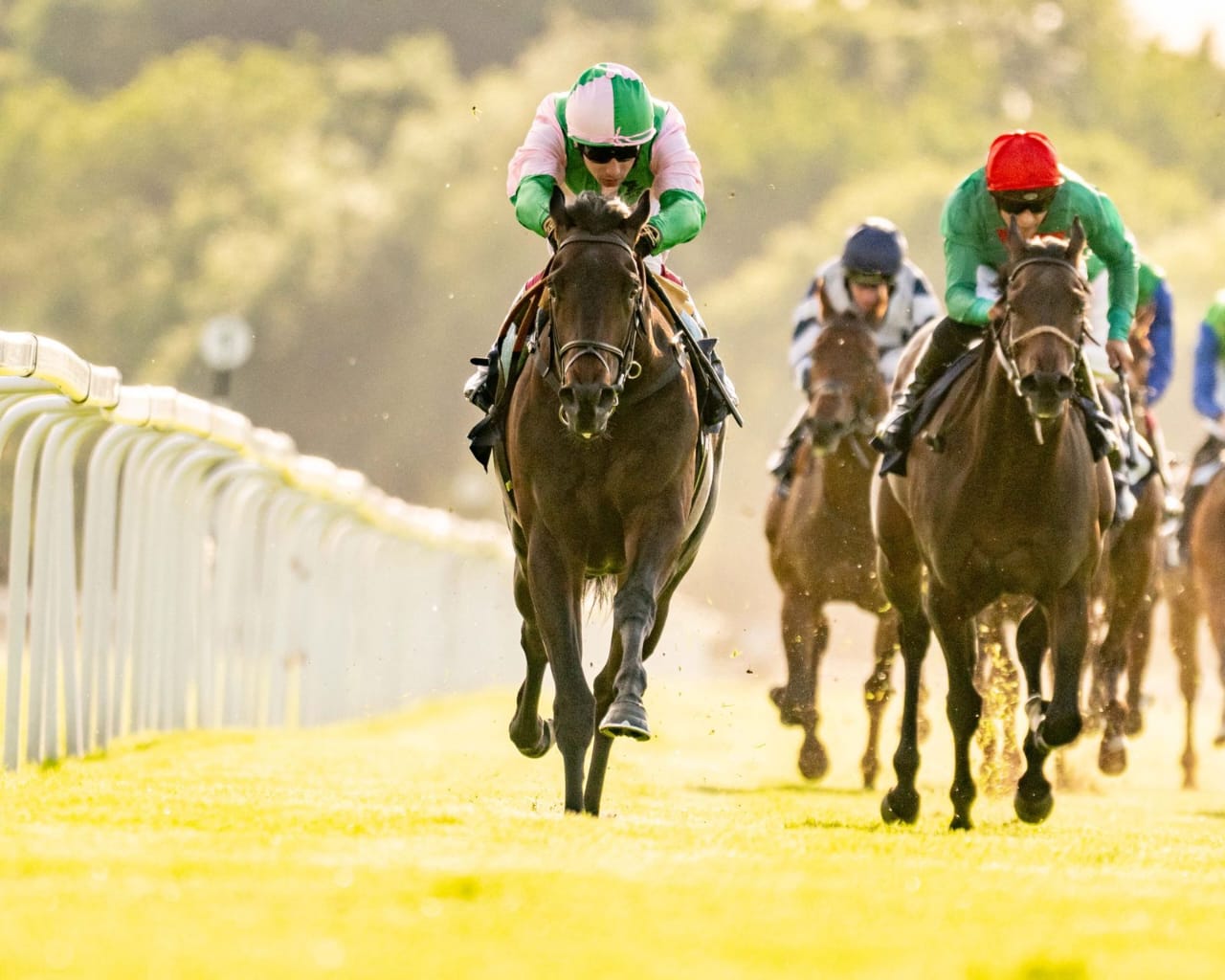 Horses racing at Royal Windsor Racecourse during the Fizz & Flutes Racenight 2025 under clear evening skies.