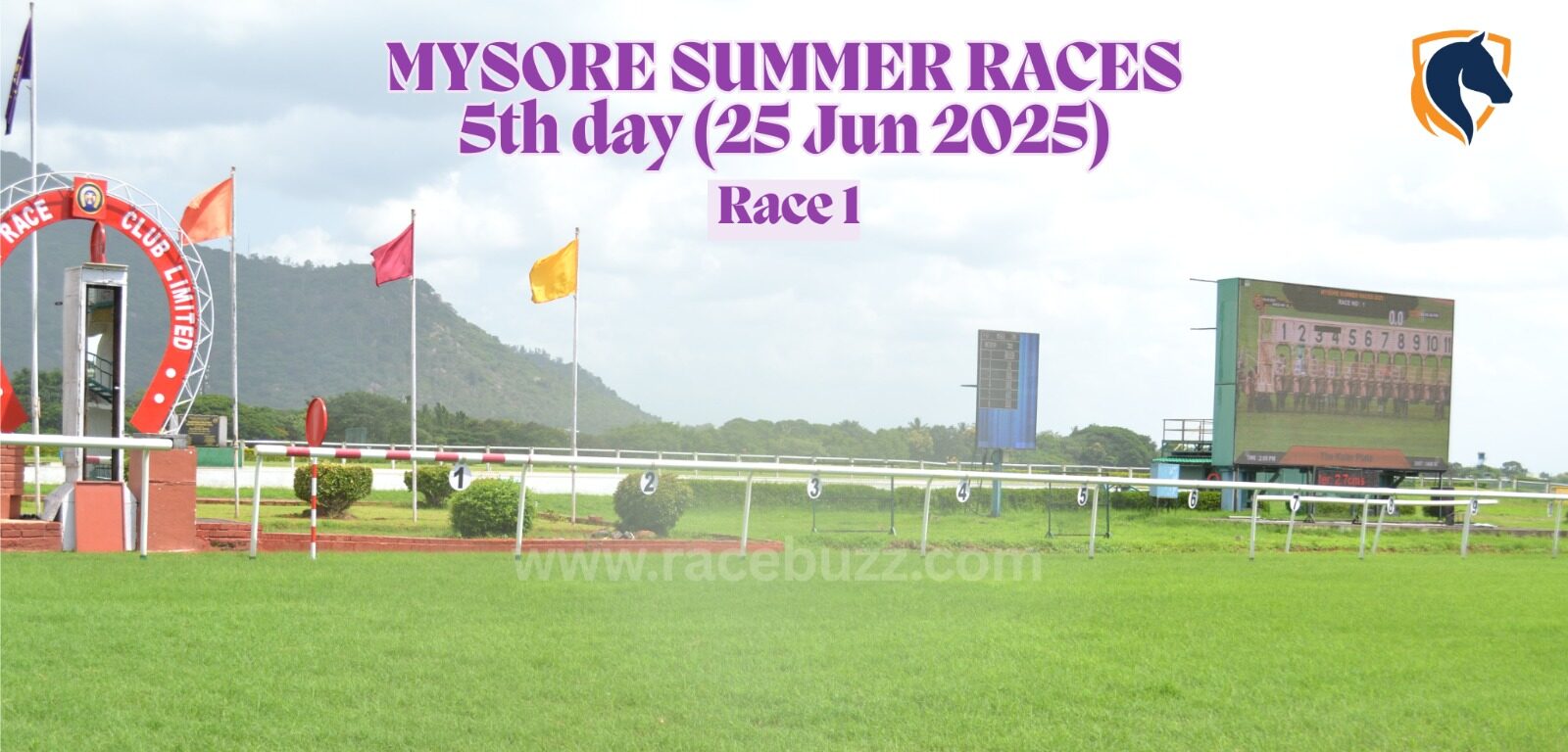 Phoenix Gold, ridden by jockey Abhishek Mhatre, surges ahead to win The Alberetto Plate Div II at Mysore Race Club on Day 5 of the 2025 Summer Races.