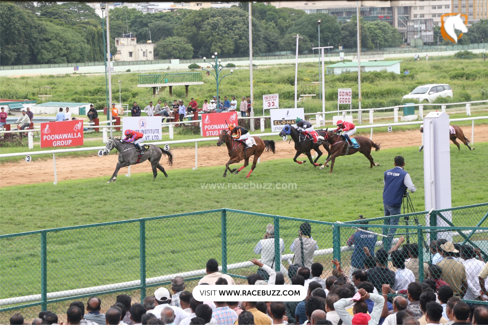 Bangalore Turf Club racehorses in full stride during the Deltin Juvenile Sprinters’ Million, with jockeys vying for the lead in a high-stakes summer meet.