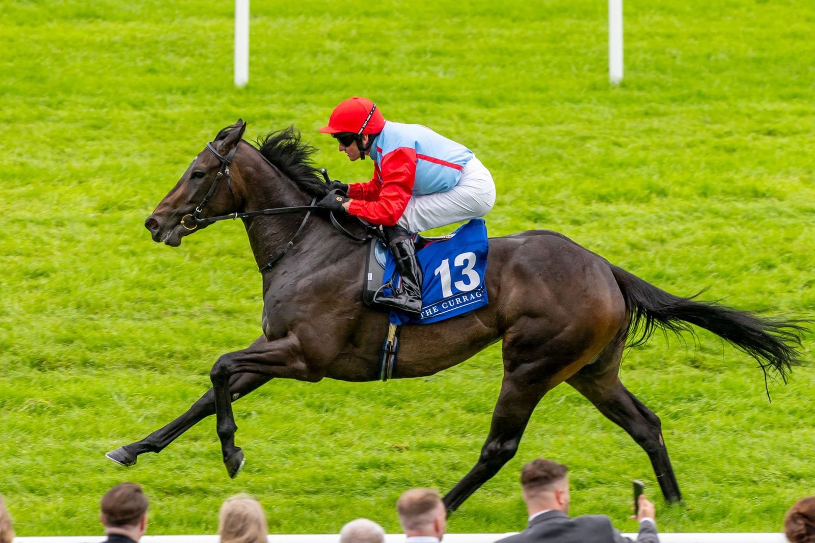Horses racing down the track at Curragh Racecourse during the Dubai Duty Free Irish Derby Festival 2025