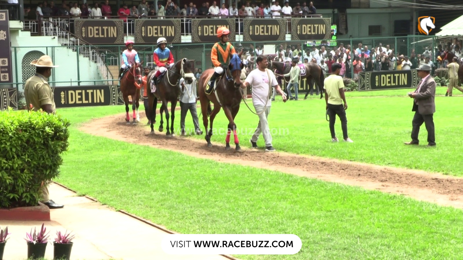 Horses competing at Bangalore Turf Club during Day 14 of the Bangalore Summer Meeting 2025