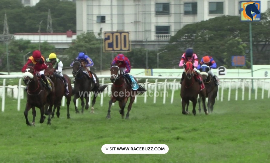 Horses in action at Bangalore Turf Club during the 2025 Summer Meeting