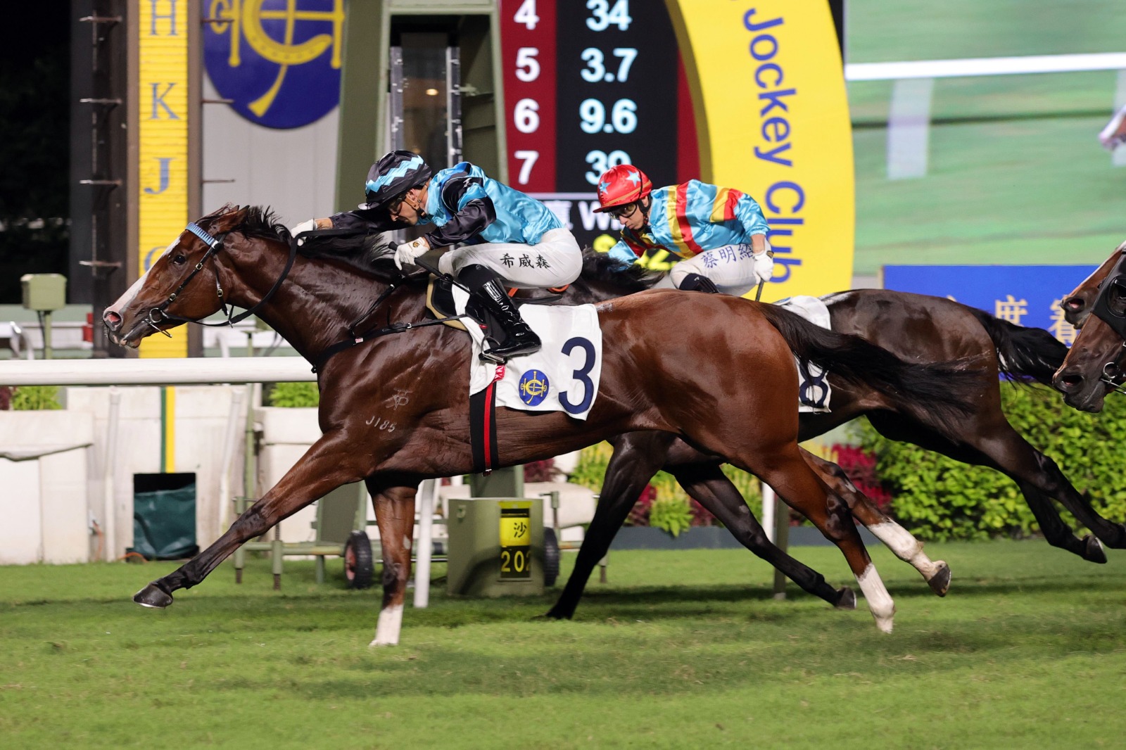 Wunderbar galloping powerfully at Sha Tin Racecourse with the Hong Kong skyline in the background, racegoers watching from the stands.