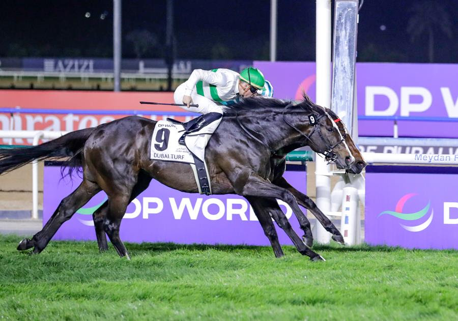Global contenders from Meydan are gearing up for top-level races