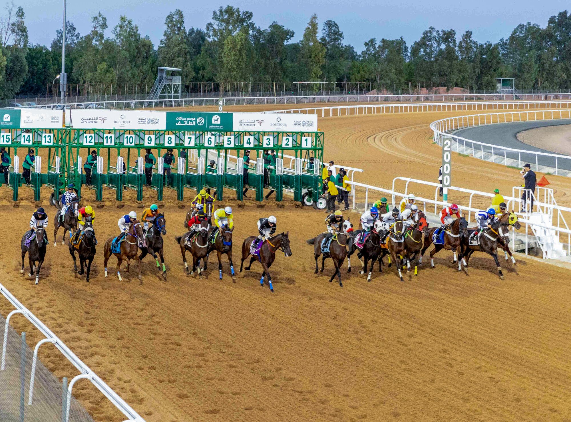 Night racing begins at King Khalid Racecourse as the Saudi Flat Season 2025 opens in Taif