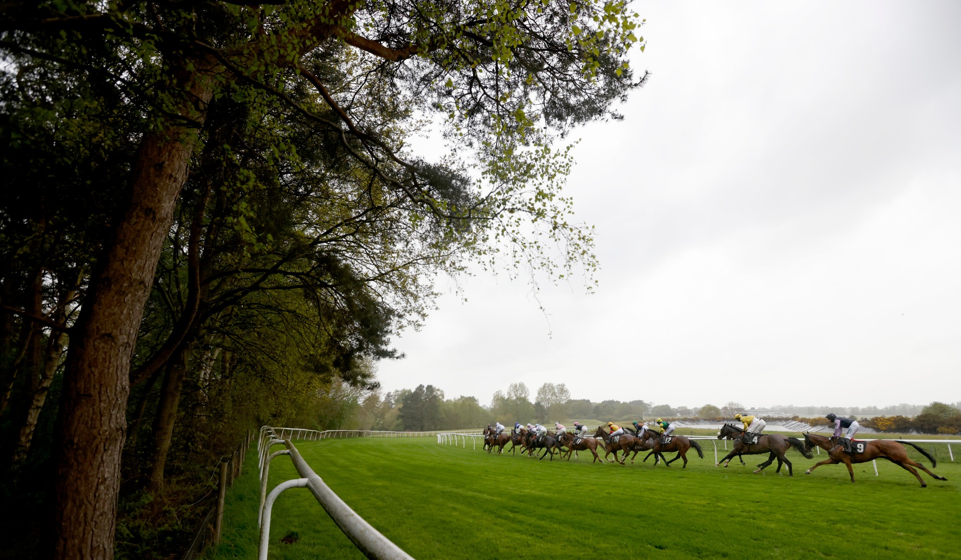 Gavin Sheehan guides Cavern Club to a decisive victory in the Summer Handicap Hurdle at Market Rasen on Ladies Day 2025.