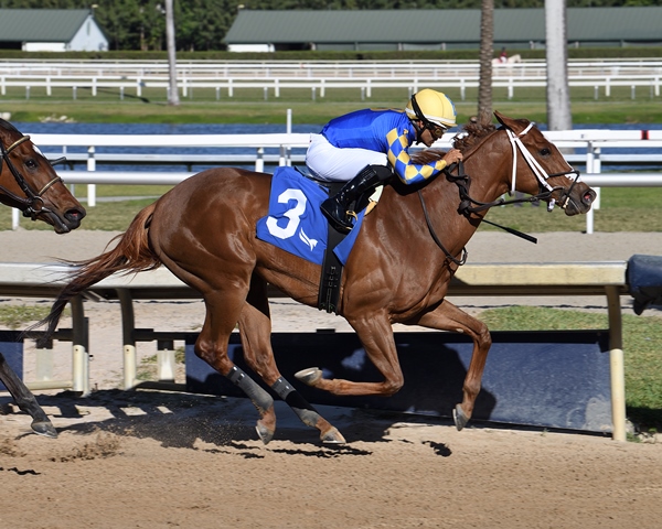 Goodwood Racecourse hosts Pegasus World Cup Turf qualifiers; Anna’s Promise in training for return
