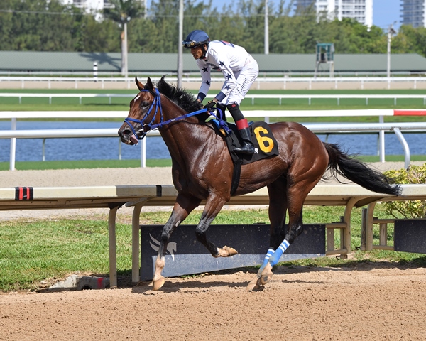 Catalytic crosses the finish line in the Tackleberry Handicap at Gulfstream Park 2025