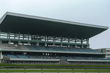 Ashoka and Racing Ruler win Hyderabad races July 28
