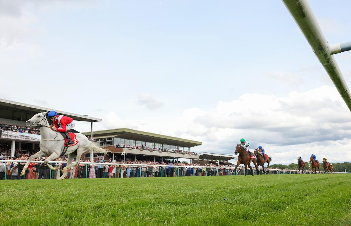 Estrange (Danny Tudhope) on her way to victory in last month’s Three Lester Piggott Fillies’ Stakes at Haydock Park