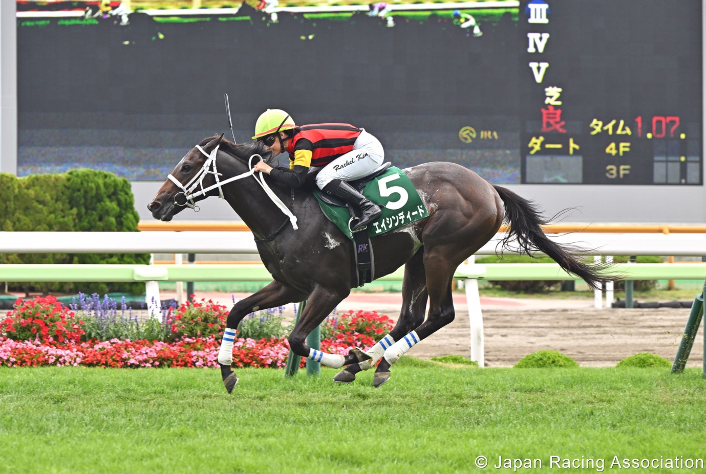 Sapporo Racecourse July 27 full card featuring Nikkei Sho 2025