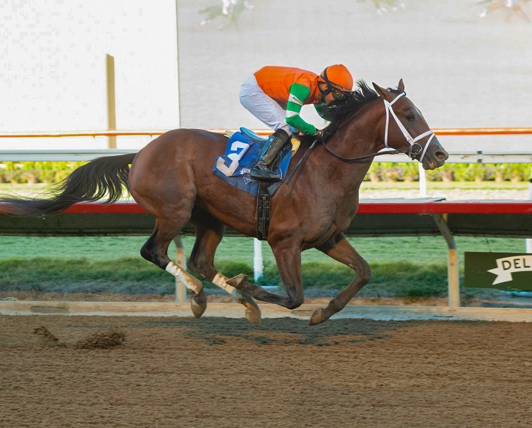 Journalism Pacific Classic contender returns to Del Mar 2025