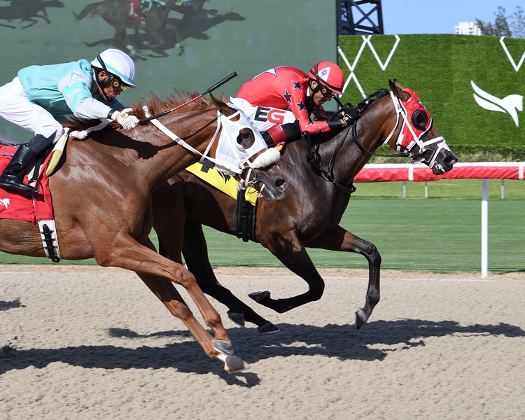 Scarlet Sands Miss Gracie Stakes 2025 winner at Gulfstream Park