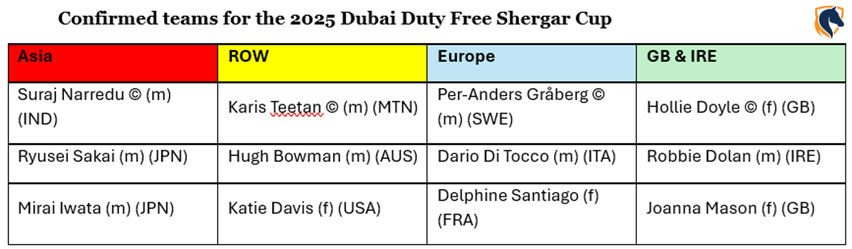 Dubai Duty Free Shergar Cup 2025 at Ascot